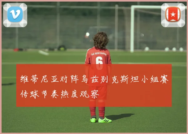 维蒂尼亚对阵乌兹别克斯坦小组赛传球节奏热度观察